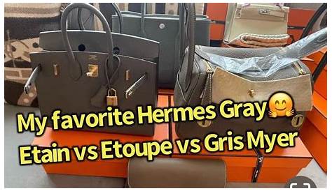 Etain Vs Etoupe Lindy Pin On Hermes