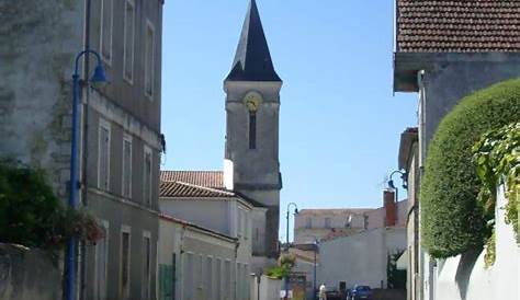 Etaules 17 CPA FRANCE ", Vue Panoramique" Charente