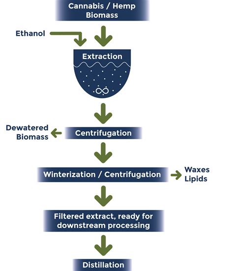 Ethanol Extraction For Cannabinoids