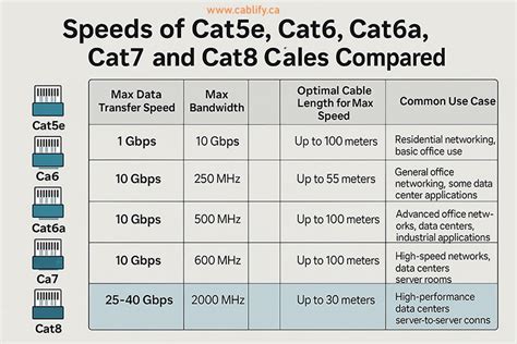 Ethernet Cable Cat Speeds