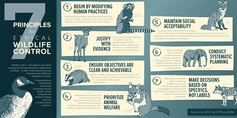 ethical Animal interactions