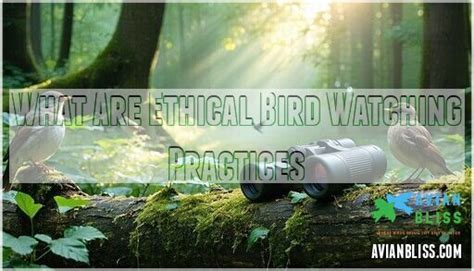 ethical birdwatching conservation