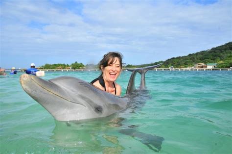 ethical dolphin encounter