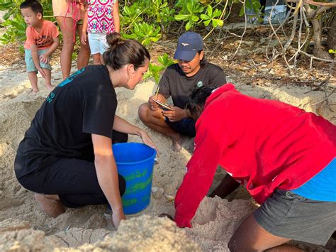 ethical turtle watching