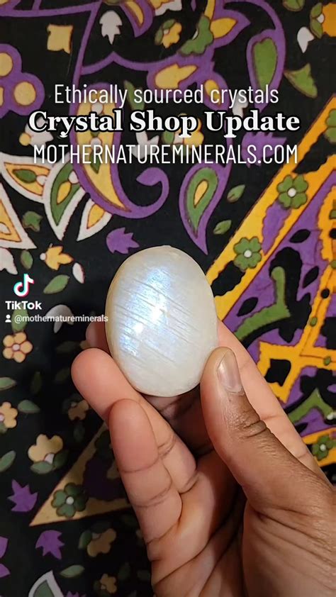 Ethically Sourced Hearts Of Palm