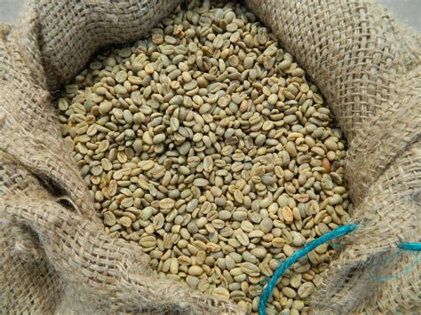 ethiopian raw coffee beans