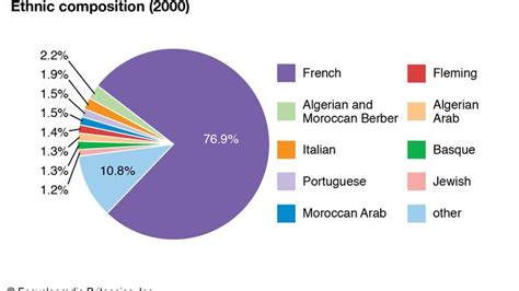 ethnic groups percentage france