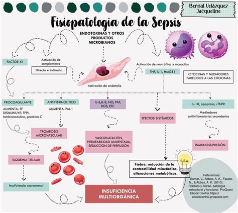 etiologia de la sepsis