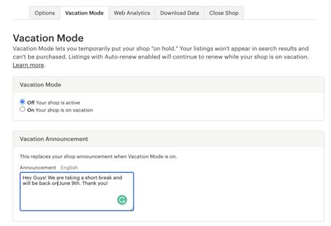 Etsy Vacation Mode Message Example