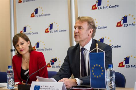 eu delegation to montenegro