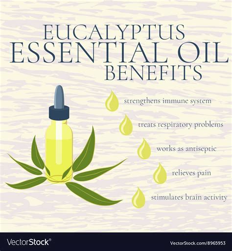 eucalyptus essential oil benefits