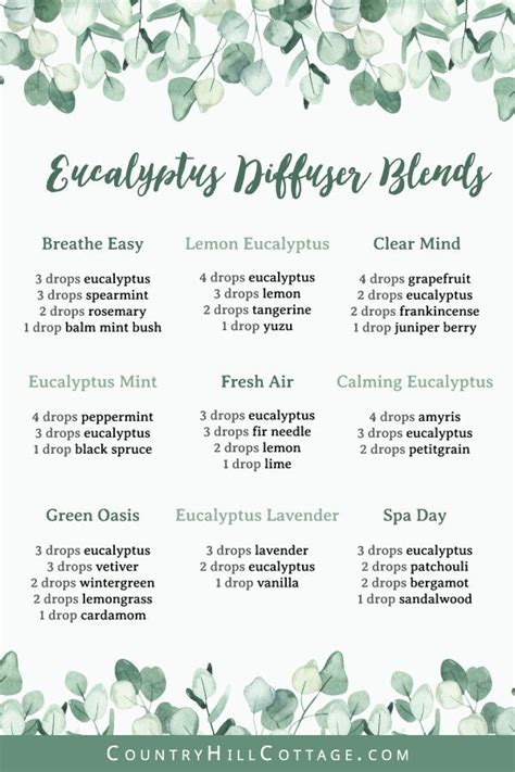 eucalyptus essential oil blend