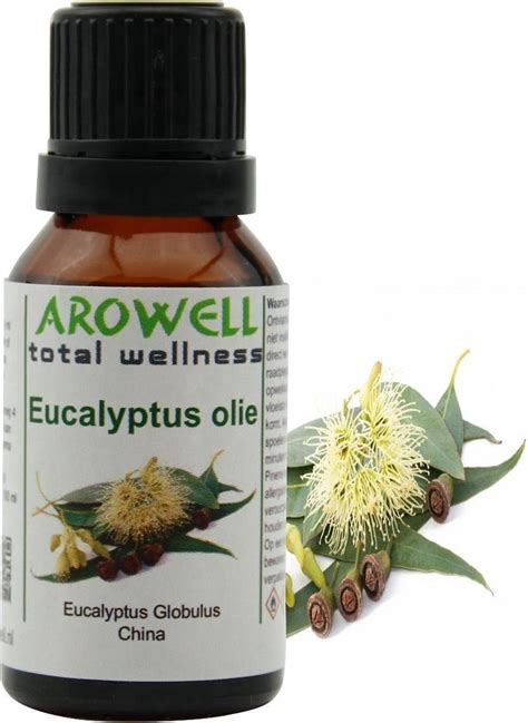 eucalyptus globulus leaf oil