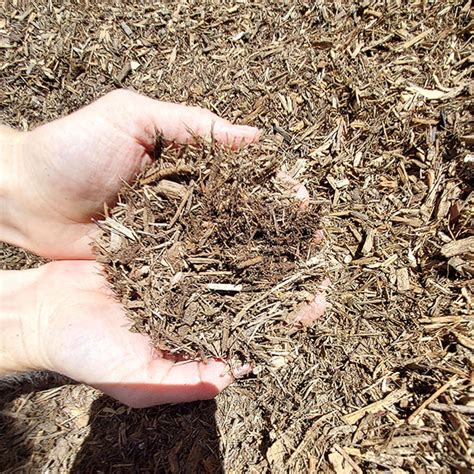 Eucalyptus Mulch Bulk
