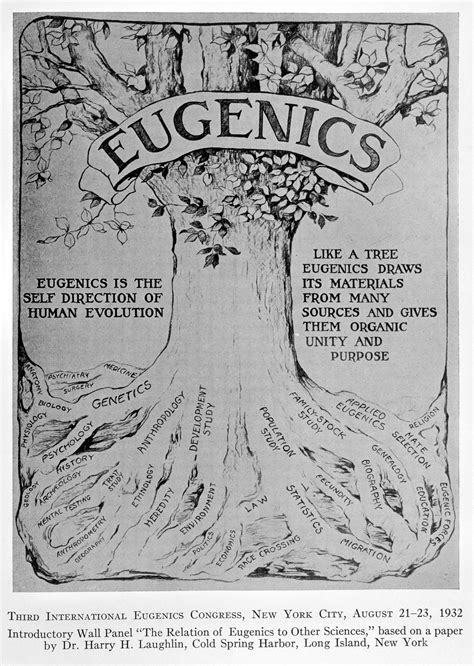 eugenics history definition