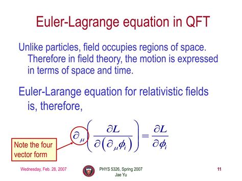Euler Lagrange Equation For Vector Field