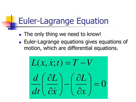 Euler Lagrange Equation With Constraints