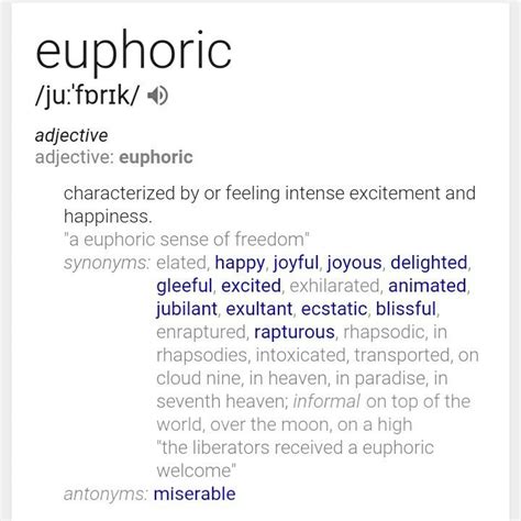 euphoria meaning antonyms