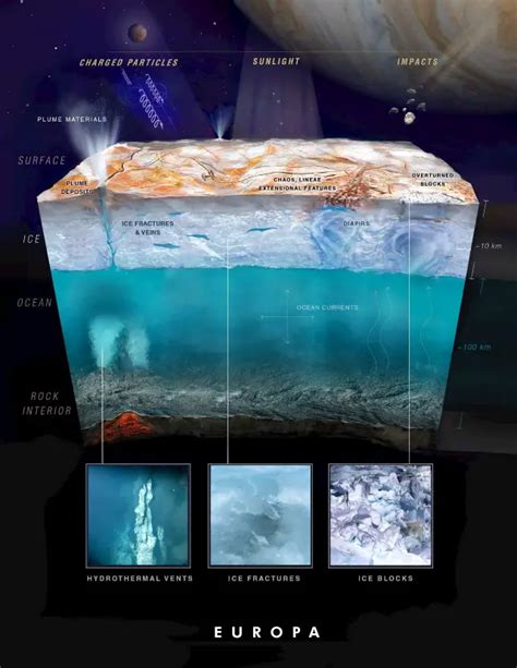 europa surface composition