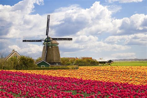 europe tour packages from netherlands
