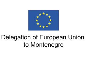 european union delegation to montenegro
