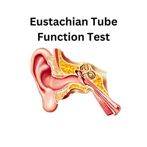 Eustachian Tube Function Test Norms