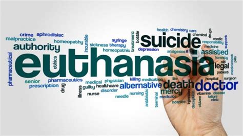 euthanasia effects on society