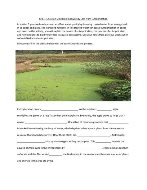 Eutrophication Handout Eutrophication Systems Ecology