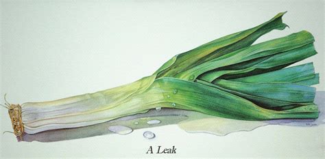 evamenta alan leak of