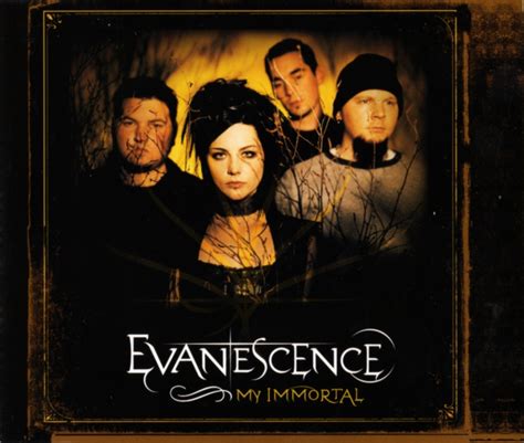 evanescence my immortal meaning