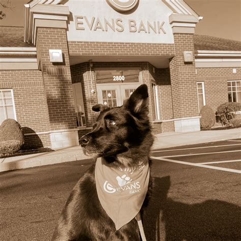 evans bank hours angola ny