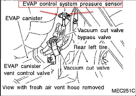 Evap Sensor Location