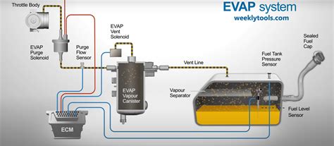 Evap System Components