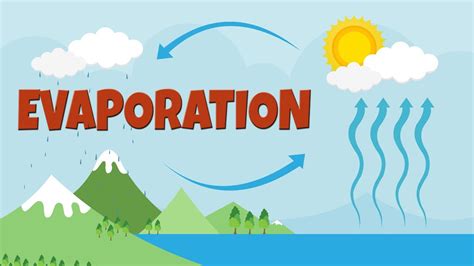Evaporation Process Video