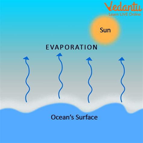 Evaporation To Dryness Examples