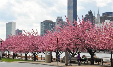 Events In Nyc In April 2025