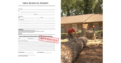 Everett Tree Removal Permit