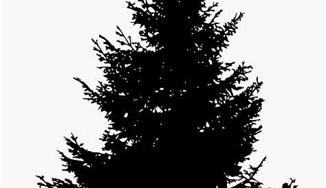 Pine tree tree silhouette and clip art on 2 | Silhouette clip art, Tree