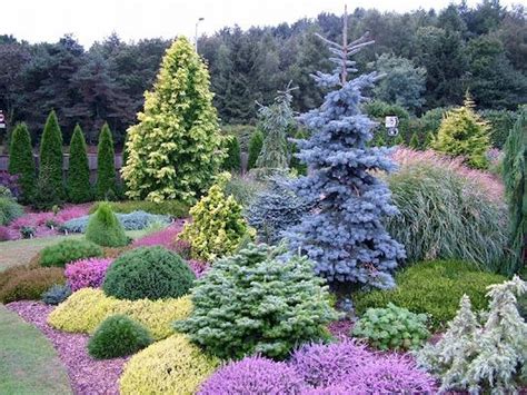 Evergreen Garden Ideas