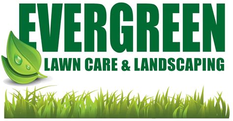 evergreen lawn and tree service