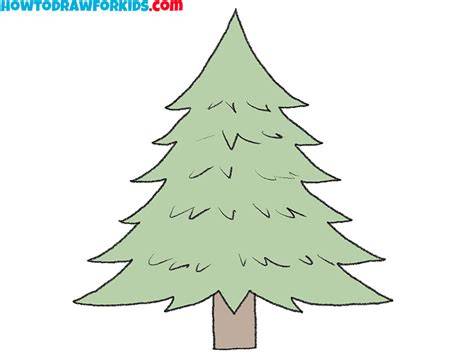 evergreen drawing Tree drawing, Drawings, Tree