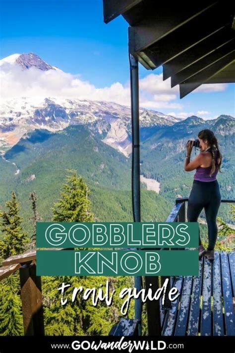 everlasting knob gobblers