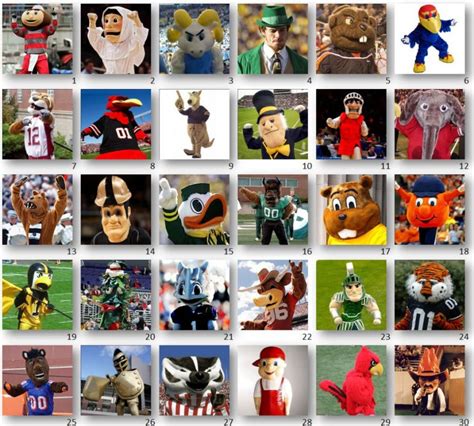 every college football mascot
