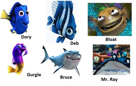every type of fish in finding nemo
