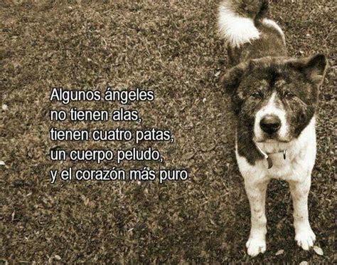 Everything Else In Spanish