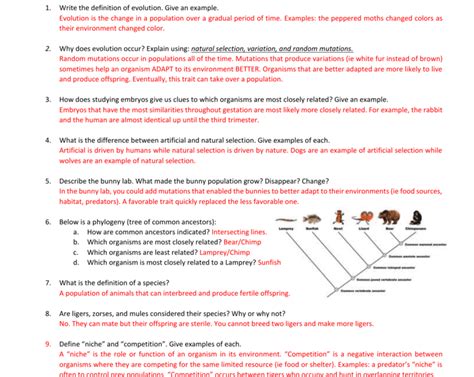 evidence for evolution worksheet quizlet