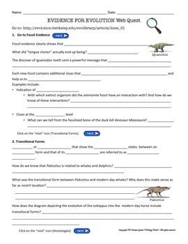 evidence of evolution webquest worksheet answers