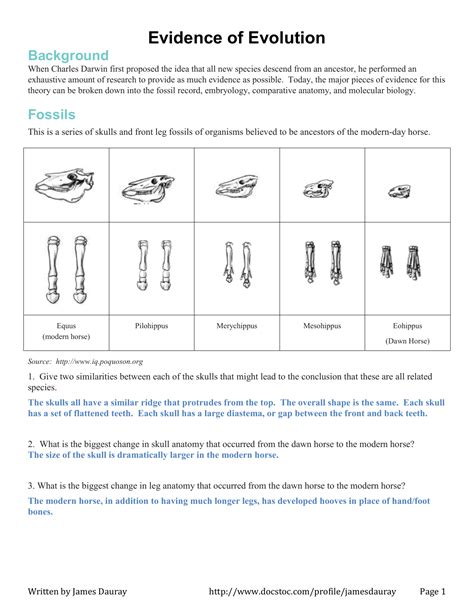 evidence of evolution worksheet pdf