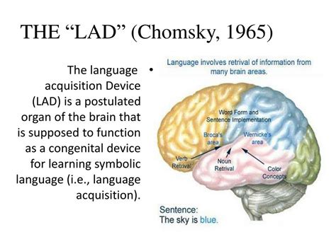 evidence that language acquiring ability