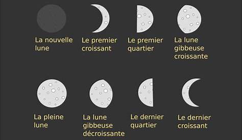 Notre voisine : La Lune - Sciences-nature.fr